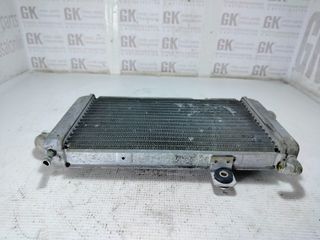 ψυγειο Piaggio Hexagon 180 2T-thumb-3