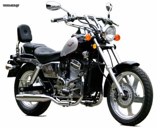 Regal-Raptor Repco 250 2010 DD 250 E