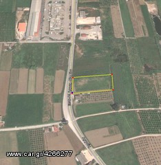 αγροτεμαχιο  2500 τ.μ επί της Επαρχ. οδου Άργους - Νέας Κίου
