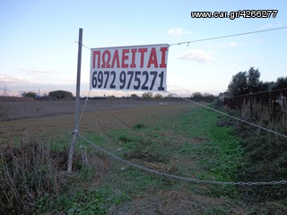 αγροτεμαχιο  2500 τ.μ επί της Επαρχ. οδου Άργους - Νέας Κίου-thumb-4