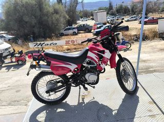 Access TE 250 2019-thumb-3
