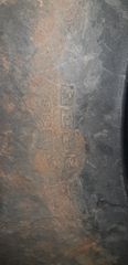 ΛΑΣΤΙΧΑ-thumb-2