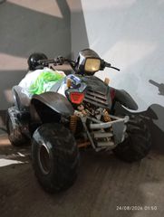 Aeon Cobra 50 2015