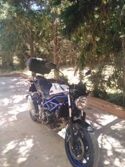 Suzuki SV 650 2020-thumb-1