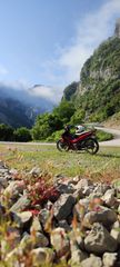 Modenas Dynamik 2008-thumb-11