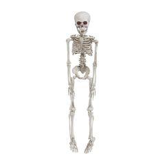 Halloween - Skeleton (50 cm) / Toys