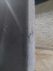 Πωλούνται-thumb-6