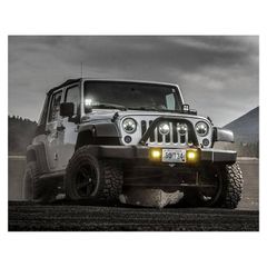 DENALI D3 Fog Lights Lens Kit  - Amber
