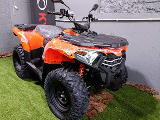 Voge 2025 XWOLF 300