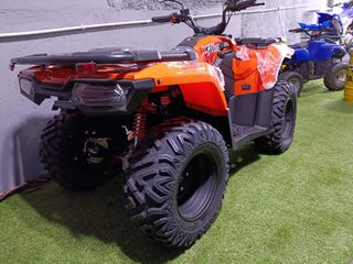 Voge 2026 XWOLF 300-thumb-5