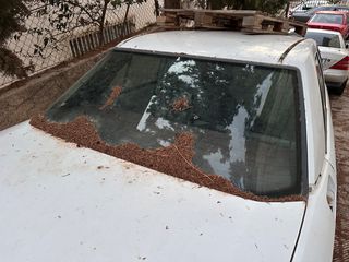 Πίσω παρμπρίζ Mercedes W124 με αντιστάσεις