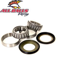ΡΟΥΛΕΜΑΝ ΤΙΜΟΝΙΟΥ ALL BALLS RACING ( DUCATI )