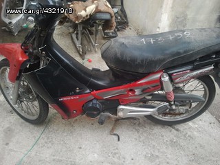 MODENAS ANTALAKTIKA-thumb-4