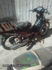 MODENAS ANTALAKTIKA-thumb-5