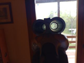 BERETTA  Gardone VT 625-thumb-17