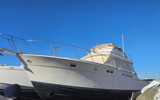 Bertram 1980 42