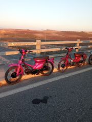 Honda Super Cub 1980 c50-thumb-3
