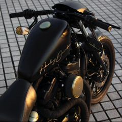Harley Davidson XL 883 R Sportster R 2009
