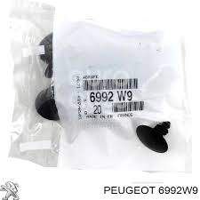ΚΛΙΠΣ ΘΟΛΟΥ (συσκευασία 20) C2 C3 I-II C4 CACTUS -II DS4 CROSBACK  C6 JUMPY - III SAXO SPACETURER 10