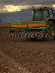 Seeding Machinery Amazone 2024 D8