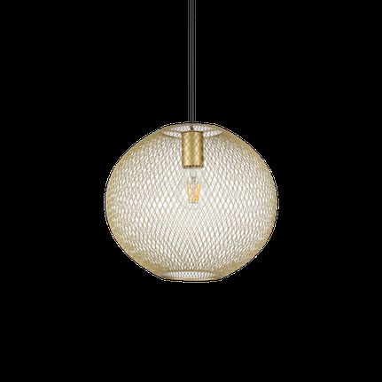 NET SP1 D29 ORO