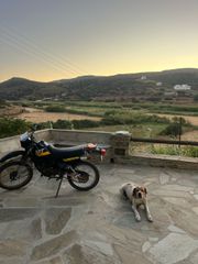 Yamaha DT 50 1991-thumb-4