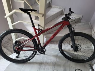 All - Mountain Sunn 2025