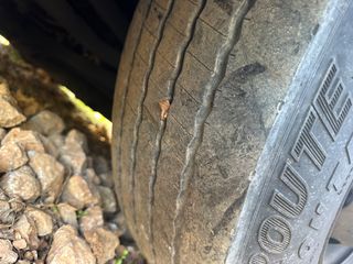 Scania 2000-thumb-5