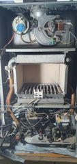 ariston genus 24 ff-thumb-1