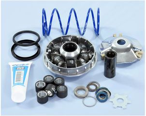 Βαριατορ Hi-Speed Evo 2 D.16Mm Yamaha Aerox 50, Jog 50, Spy 50, Why 50, Booster 50, Evolis 50, Rally 50, Scarabeo 50, Sr50 241.753 | Polini