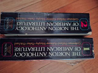 The Norton anthology of American literature