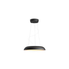 Amaze Hue pendant black
