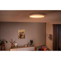 Aurelle Hue Panel RD 24.5W ceiling lamp-thumb-6