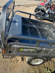 Eborn Cargocat 2 2025-thumb-3