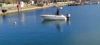 Galeon 2011 GALIA με ενισχυμένο ΤΡΕΙΛΕΡ κ Πινακίδες-thumb-3