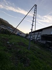 Γερανοί 2025