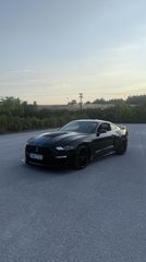 Ford Mustang 2022 High Performance Cobra Edition/Shelby GT500