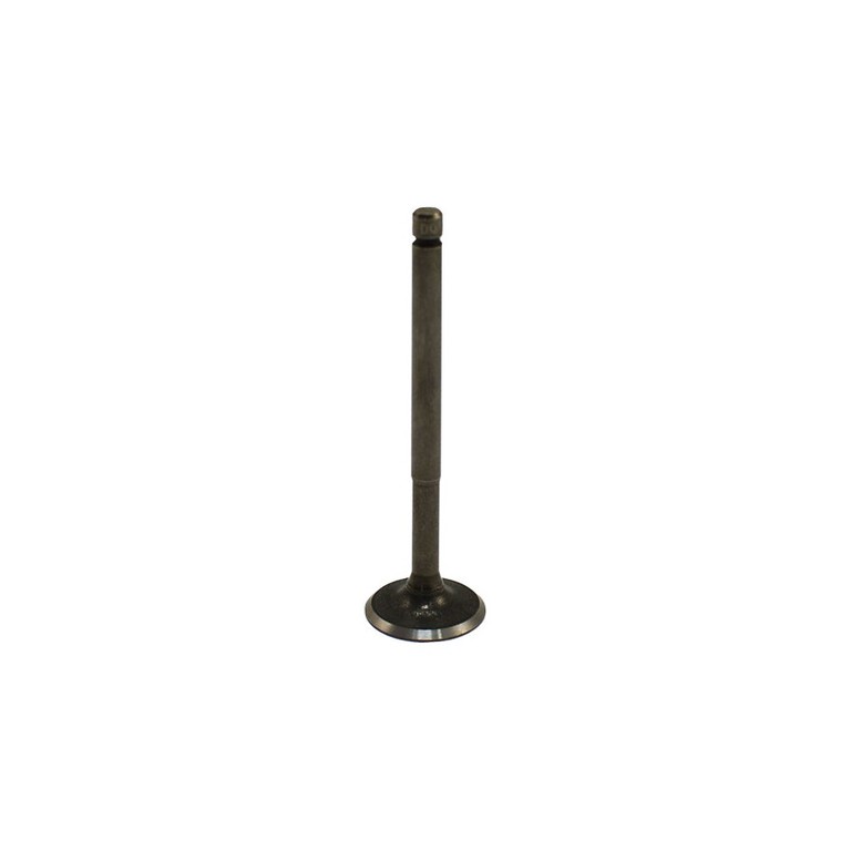 Βαλβίδα Εισαγωγής OEM ZIP100,FLY100-4T