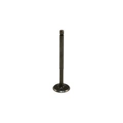 Βαλβίδα Εισαγωγής OEM ZIP100,FLY100-4T