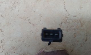 Seicento Μάτι Στρόφαλου  *-thumb-3