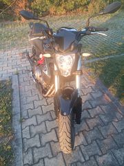 Benelli BN 302 2022-thumb-2