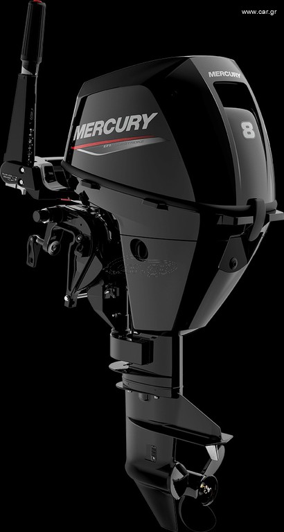 Mercury 2025 8 M & ML  EFI