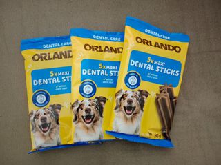 Orlando Dental Sticks Maxi