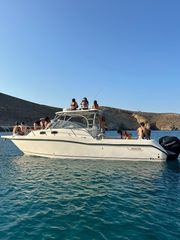 Boston-Whaler 2007
