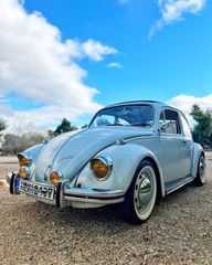 Volkswagen Beetle 1969 BEETLE kaefer