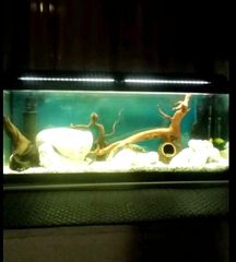 ΕΝΥΔΡΕΙΟ ΣΕ ΑΡΙΣΤΗ ΚΑΤΑΣΤΑΣΗ