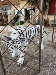 Τίγρης, διακοσμητικό γλυπτό Εσωτερικού ή Εξωτερικού χώρου  Ύψος 1 μέτρο , μήκος 2.40εκ., με την ουρά, πλάτος 30εκ.,  Τιμή 950€…