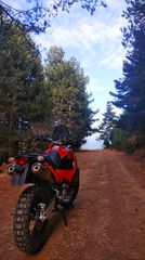KTM 950 Adventure 2005-thumb-6