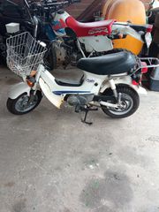 Honda Chally 1985 CF50