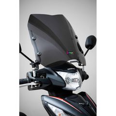 Ζελατίνα Ermax Universal για Σκούτερ ή Παπί (ΕΛΑΦΡΩΣ ΦΙΜΕ) 0301T00-54